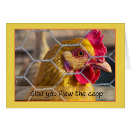 Huhn im frohen Zaun flogen Sie den Korb erhalten