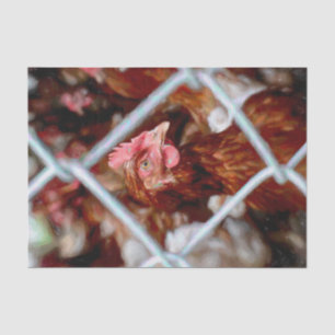 Huhn im Vintage-Stil, Landhuhn vom Bauernhof Seidenpapier