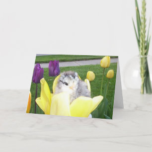 Huhn in einer Tulpe Feiertagskarte