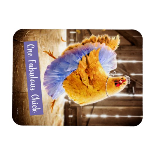 Huhn in Tutu Magnet (Horizontal)