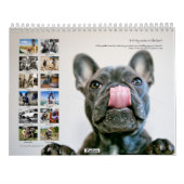 Huhn-Kalender 2013 Kalender (Rückseite)