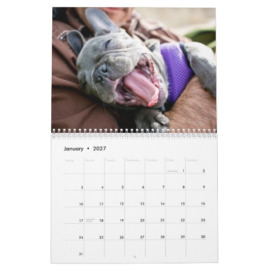 Huhn-Kalender 2013 Kalender (Jan 2027)