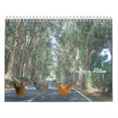 Huhn-Kalender Kalender (Titelbild)