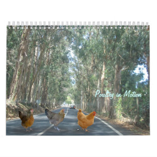 Huhn-Kalender Kalender