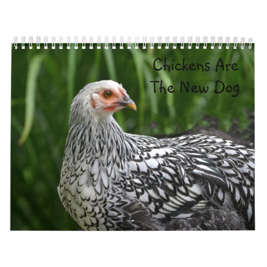 Huhn-Kalender Kalender (Titelbild)