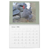 Huhn-Kalender Kalender (Jan 2026)