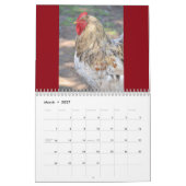 Huhn-Kalender Kalender (Mär 2027)