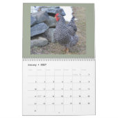 Huhn-Kalender Kalender (Jan 2027)