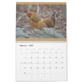 Huhn-Kalender Kalender (Feb 2027)