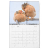 Huhn-Kalender Kalender (Jan 2027)