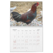 Huhn-Kalender Kalender (Mär 2027)