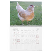 Huhn-Kalender Kalender (Feb 2026)