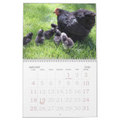 Huhn-Kalender Kalender (Jan 2026)