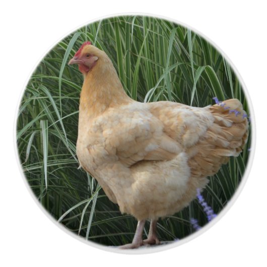 Huhn-Keramik-Griff Keramikknauf (Vorderseite)