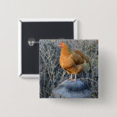 Huhn-Knopf Button (Vorne & Hinten)