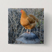 Huhn-Knopf Button (Vorderseite)