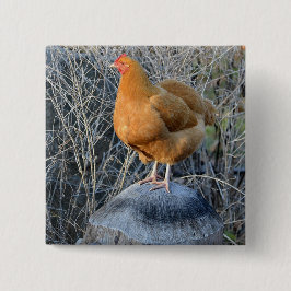 Huhn-Knopf Button