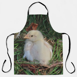 Huhn, Küken, Bauernhof, Tier, Vogel, Geflügel, Hen Schürze