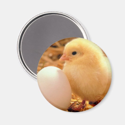 Huhn Magnet (Vorderseite/Rückseite)