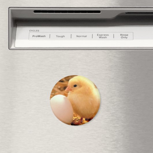 Huhn Magnet (In Situ (Geschirrspüler))