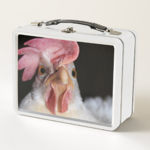 Huhn Metall Brotdose