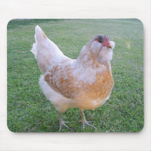 Huhn Mousepad Ostern Egger (Vorne)