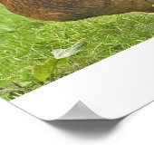 Huhn Poster (Ecke)