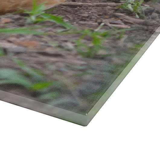 Huhn-Schneidebrett Schneidebrett (Ecke)