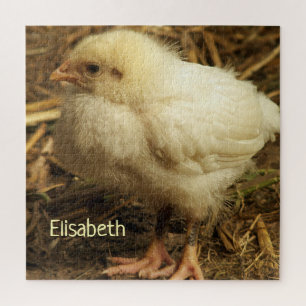 Huhn, Tier, Küken, Vogel, Bauernhof, süß, Puzzle, Puzzle