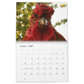 Huhn-u. Hahn-Kalender Kalender (Jan 2027)