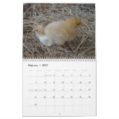 Huhn-u. Hahn-Kalender Kalender (Feb 2027)