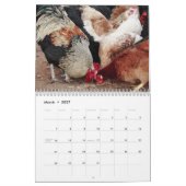 Huhn-u. Hahn-Kalender Kalender (Mär 2027)