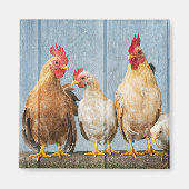 Huhn und Freunde Magnet (Vorne)