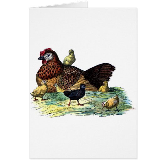 Huhn-Vintages Tier (Vorne)