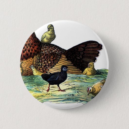 Huhn-Vintages Tier Button (Vorderseite)