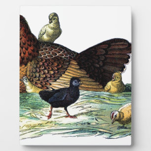 Huhn-Vintages Tier Fotoplatte