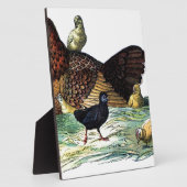 Huhn-Vintages Tier Fotoplatte (Seite)