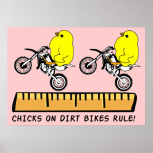 Hühnchen auf Dirt Bikes beherrschen Motocross Post Poster