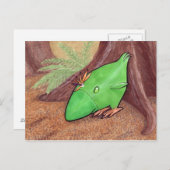 Hühnchen der Pflanze Postkarte (Vorne/Hinten)