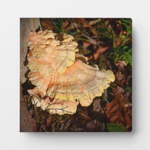 Hühnchen der Woods Plaque Fotoplatte