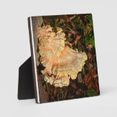 Hühnchen der Woods Plaque Fotoplatte (Vorderseite)