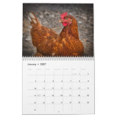 Hühnchen Henne Kalender (Jan 2027)