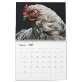 Hühnchen Henne Kalender (Feb 2027)