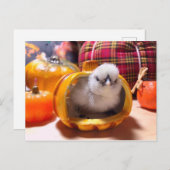 Hühnchen im Kürbis Feiertagspostkarte (Vorne/Hinten)