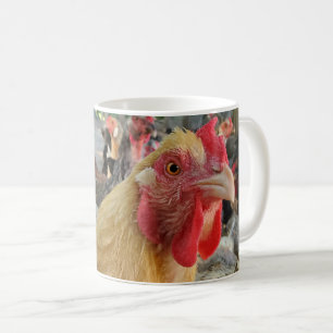 Hühnchen Kaffeetasse