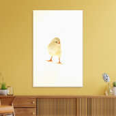 Hühnchen Leinwanddruck (Insitu (Wohnzimmer))