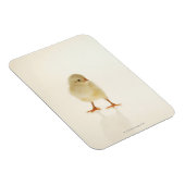 Hühnchen Magnet (Rechte Seite)