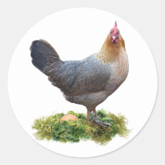 Hühnchen mit Lichen Nest Sticker