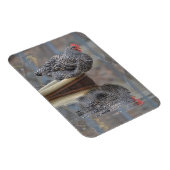 Hühnchen mit Reflektionen Magnet (Rechte Seite)