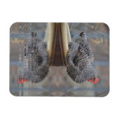 Hühnchen mit Reflektionen Magnet (Horizontal)